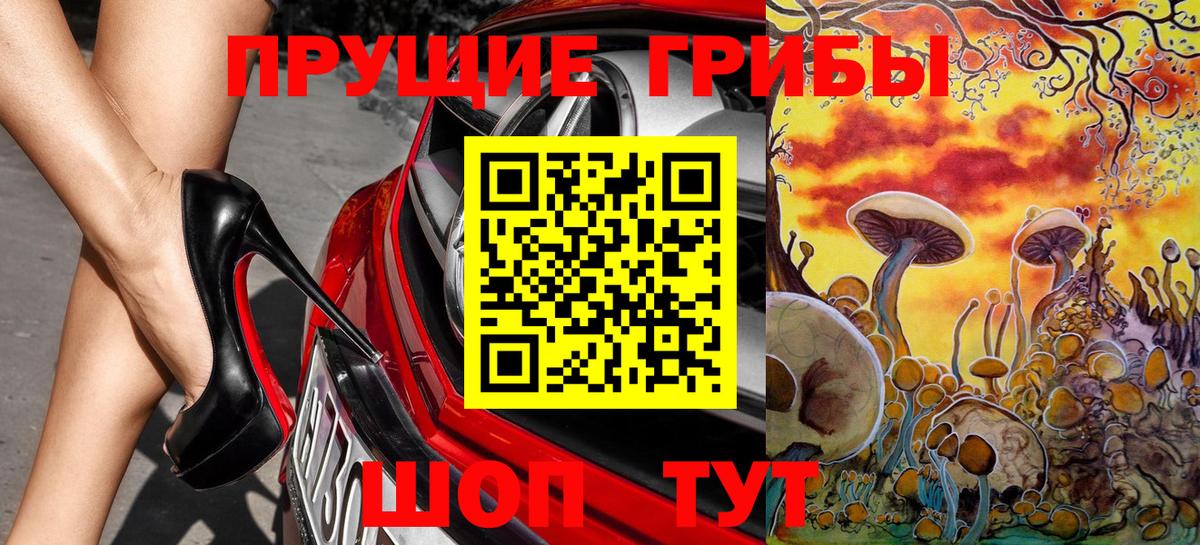 Галлюциногенные грибы Psilocybe Малгобек